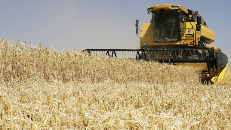 «Русагро» в III квартале увеличила выручку на 28%