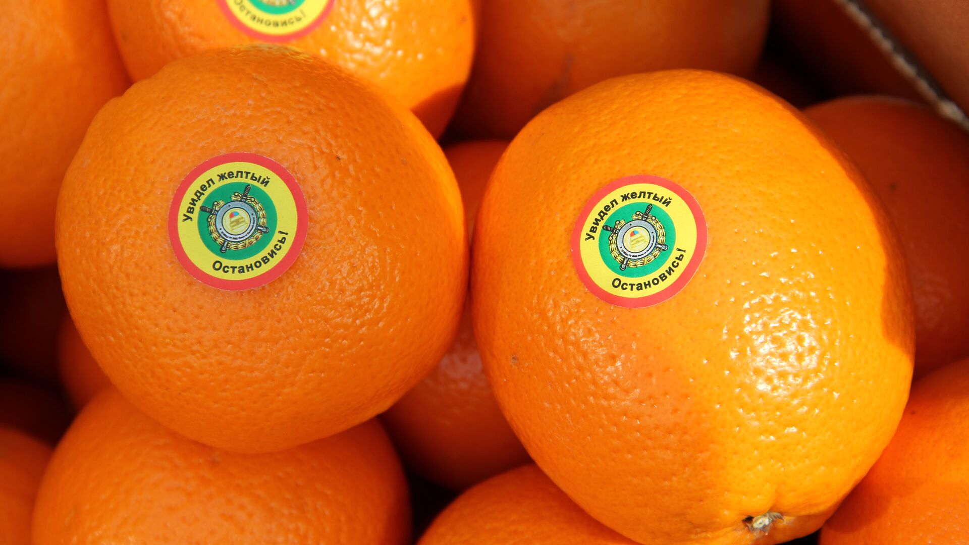 Средняя стоимость килограмма апельсинов опустилась до минимума с лета 2022 года