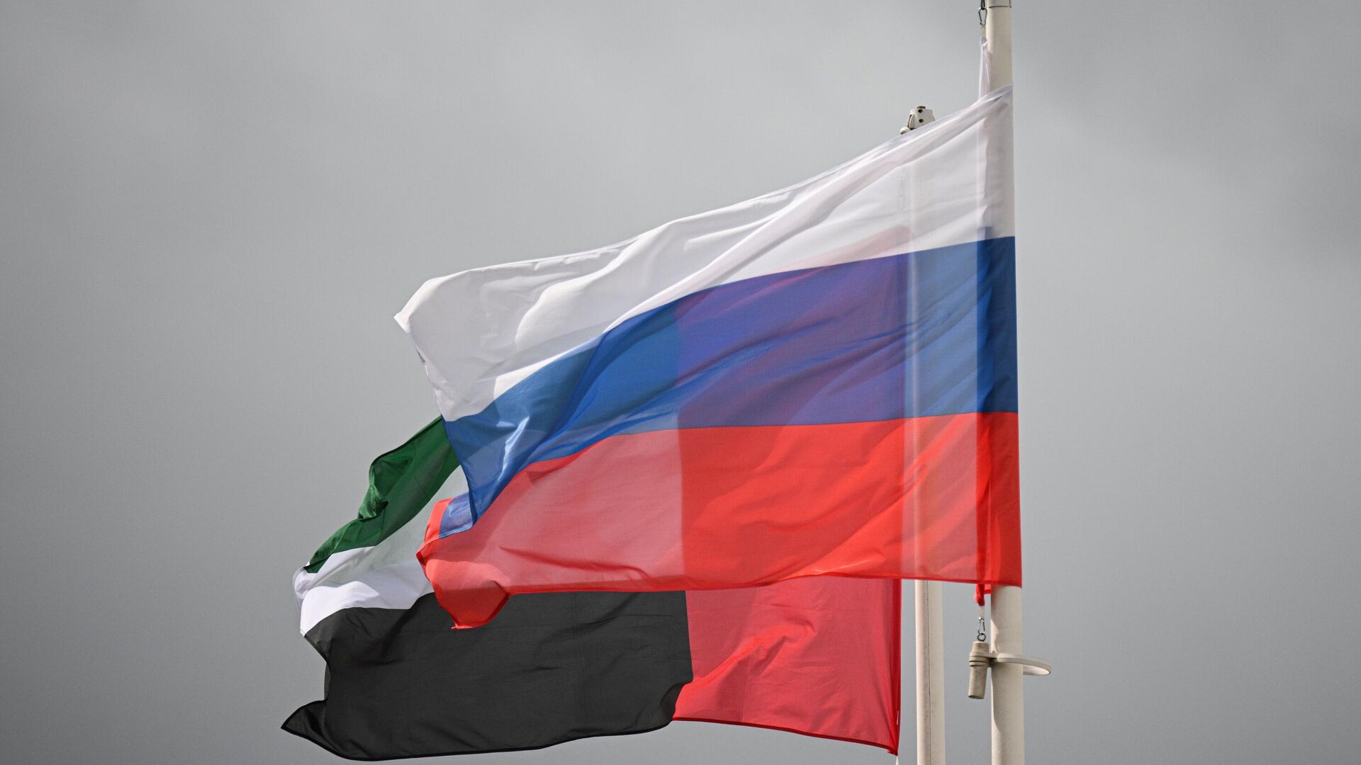 Участие в БРИКС может обеспечить ОАЭ доступ в закрытые регионы, считает аналитик аль-Кетби