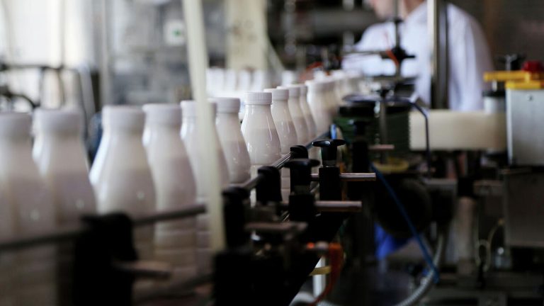 Мишустин: Россия расширила сбыт на внешних рынках мясной и молочной продукции