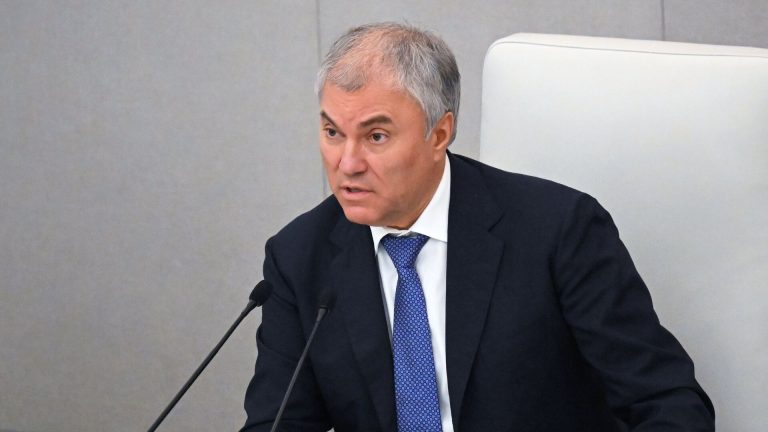 Володин: отчет Счетной палаты в Госдуме состоится в середине марта