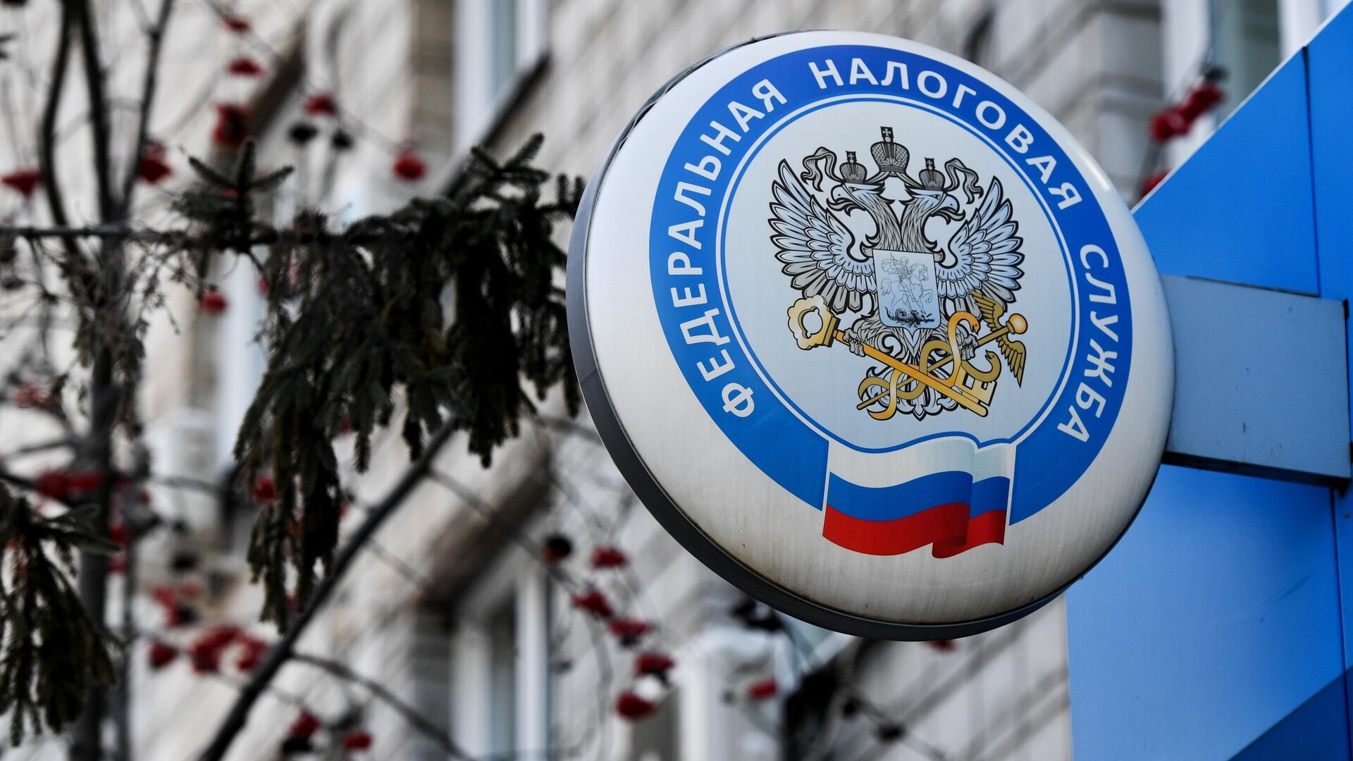 Юрист Хаминский объяснил, какие переводы будет контролировать налоговая
